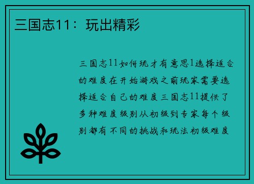 三国志11：玩出精彩